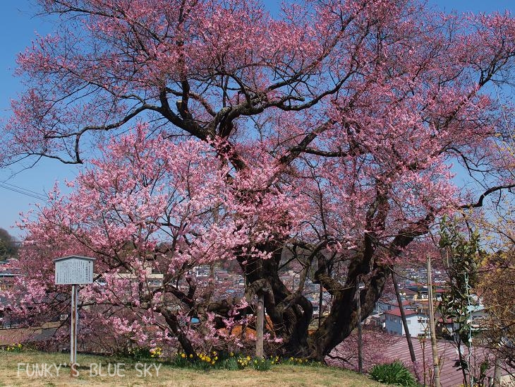 c0145250_17575777.jpg