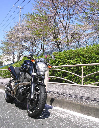 b0078754_1234334.jpg