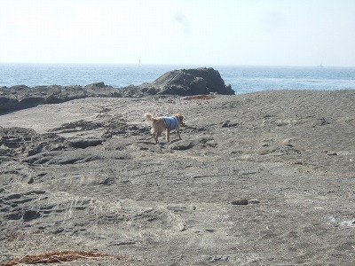 c0097558_10521947.jpg
