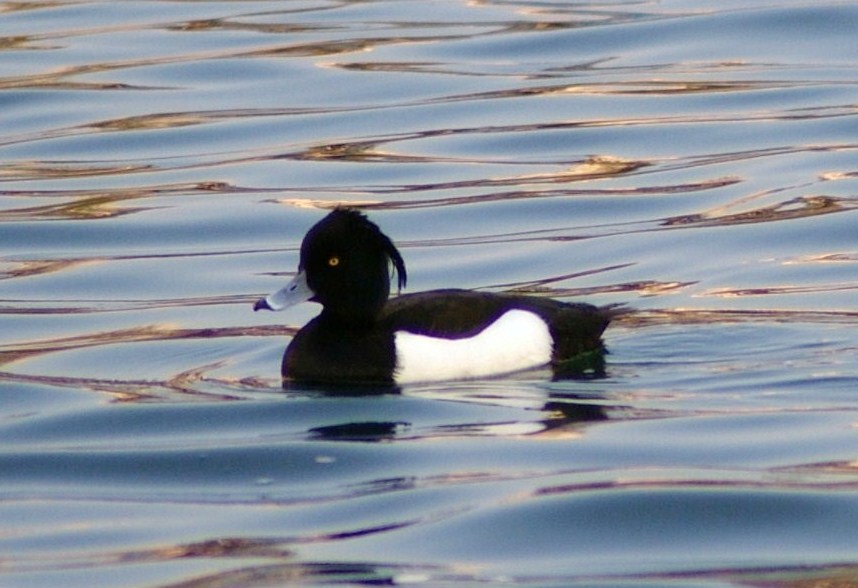 e0064158_22285047.jpg