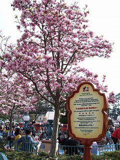 e0176158_222351.jpg