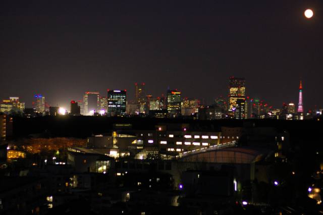 d0144162_7372244.jpg