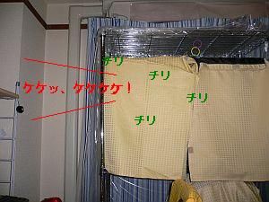 f0196665_23565211.jpg