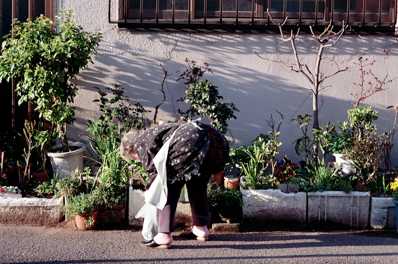 c0084666_8424328.jpg