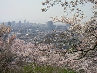 f0142668_5535285.jpg