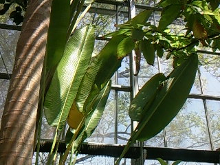 f0142668_5561069.jpg