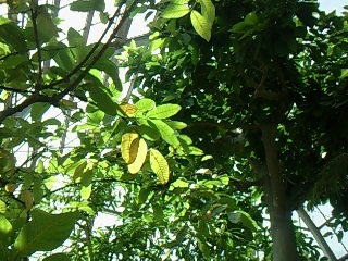 f0142668_5562551.jpg