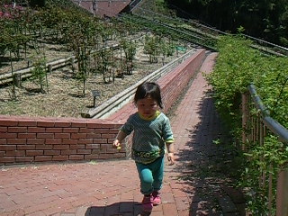 f0142668_64477.jpg