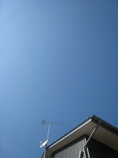 a0063175_2316962.jpg
