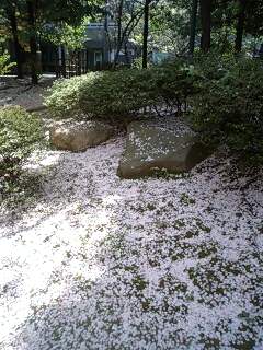 e0000377_2044415.jpg