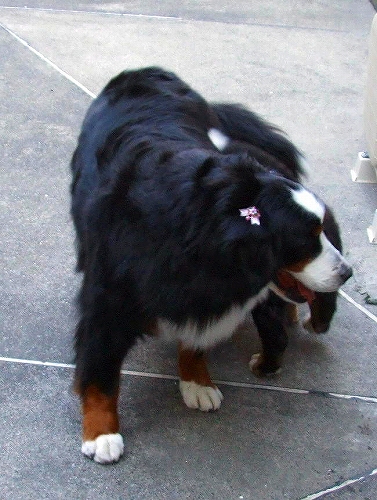 c0149178_9562963.jpg