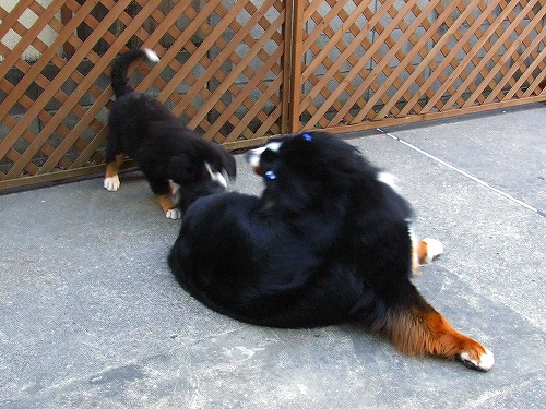 c0149178_9573821.jpg