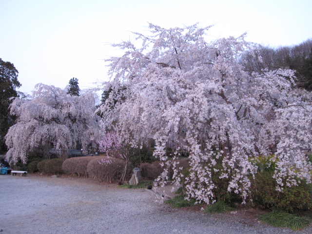 b0032079_524582.jpg