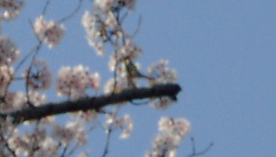 a0091680_18172142.jpg