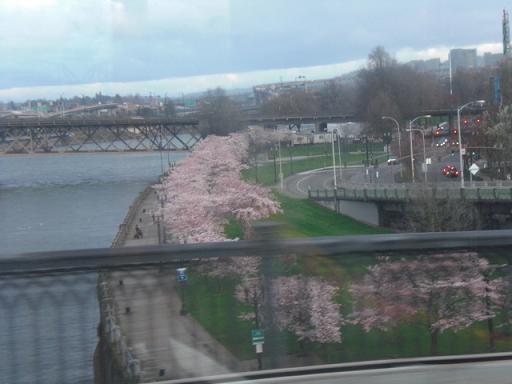 f0112080_1638167.jpg