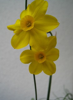 a0034382_1147497.jpg