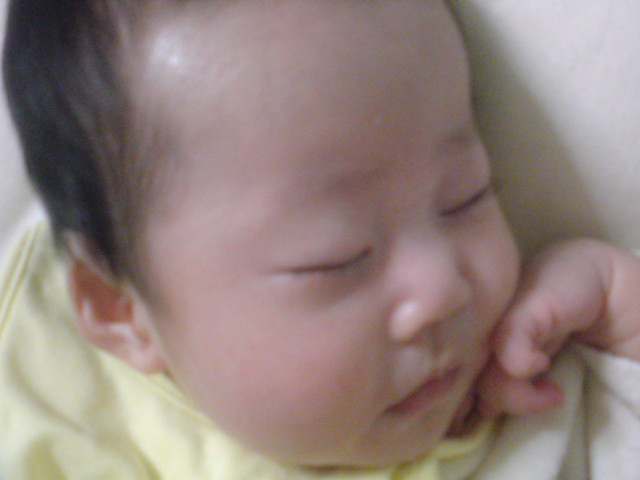 c0182782_1456958.jpg