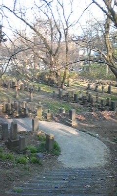 d0129083_013161.jpg