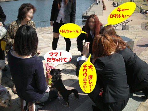 e0066883_22232225.gif