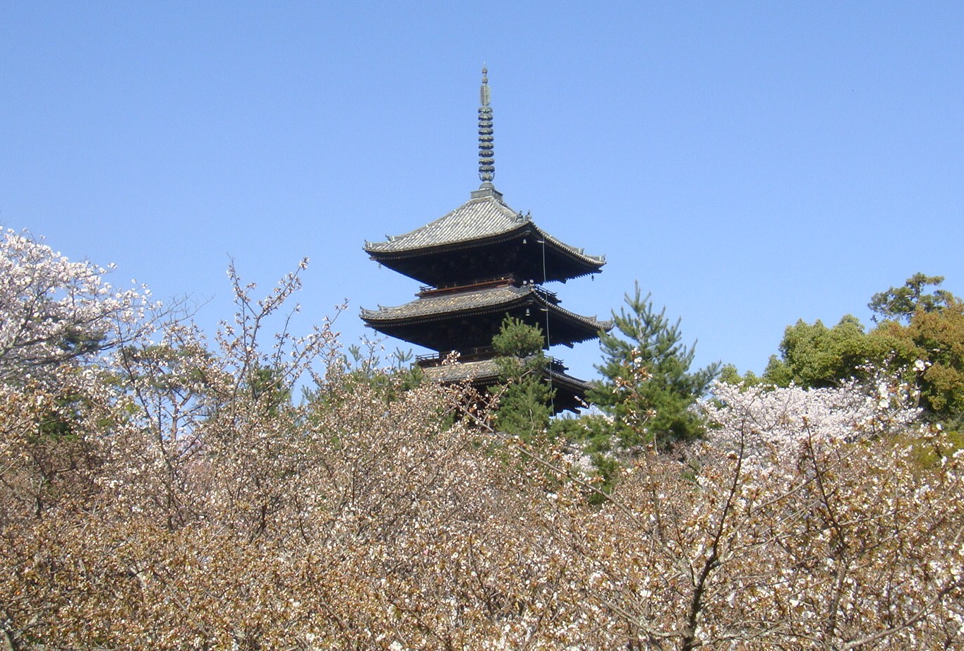 b0109584_1622870.jpg