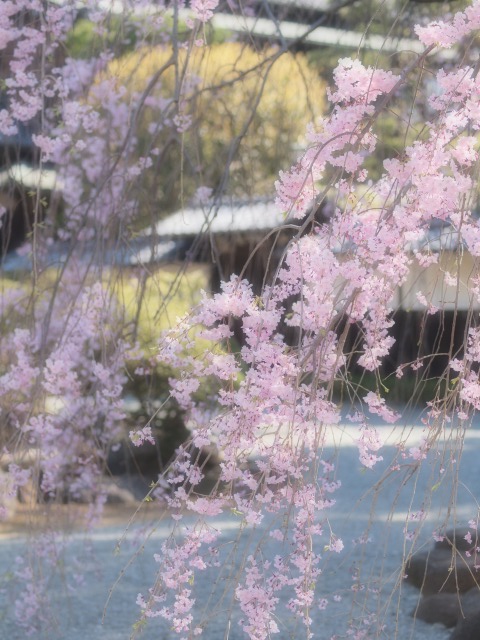 d0016584_23145035.jpg