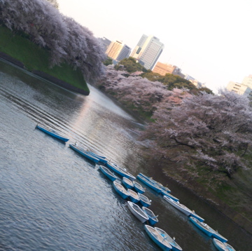 c0180686_142117.jpg