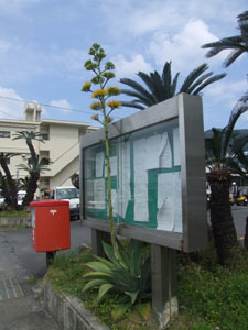 e0028387_2133811.jpg