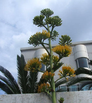 e0028387_295959.jpg