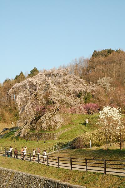b0100489_52492.jpg