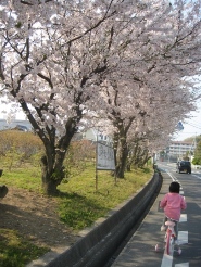 c0121291_5193780.jpg