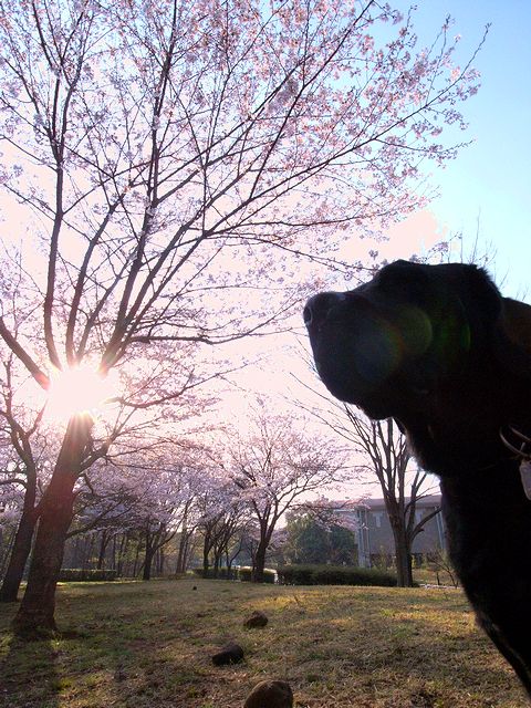 a0093592_2351737.jpg