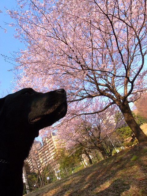 a0093592_2356574.jpg