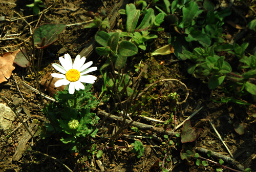 c0192293_20525332.jpg