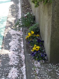 f0130894_20262175.jpg