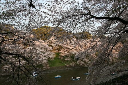 c0011696_10122443.jpg