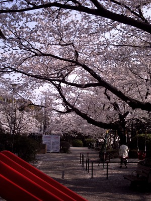 c0179996_0261315.jpg