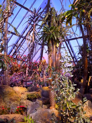 c0179996_22351617.jpg