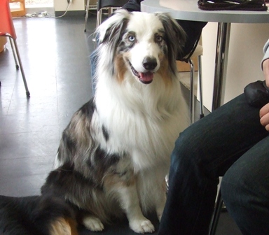 f0077697_1895970.jpg