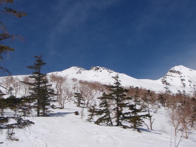 c0147398_22582465.jpg
