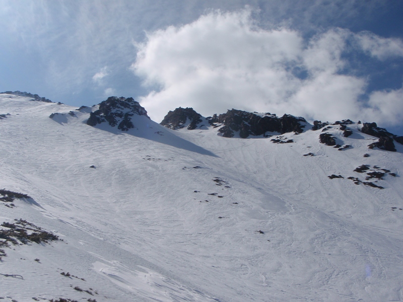 c0147398_2352976.jpg