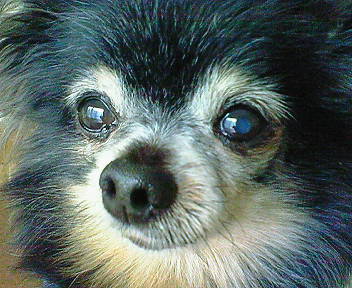 b0160300_2245836.jpg