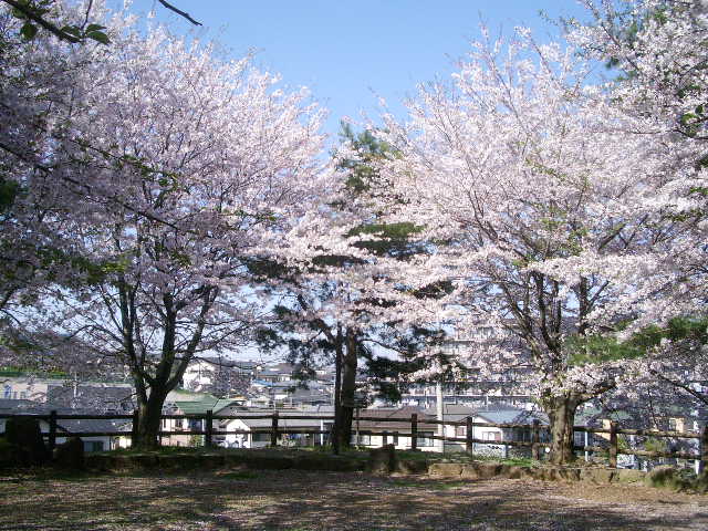 e0025300_1212585.jpg