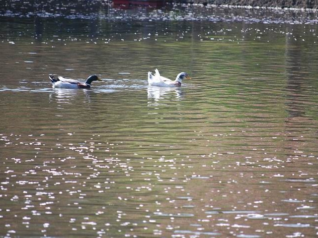 e0025300_12213485.jpg