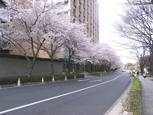 e0043700_123397.jpg