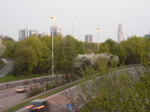 a0056401_5111271.jpg
