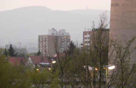 a0056401_5133318.jpg