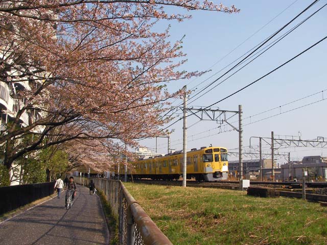 d0004301_2211678.jpg
