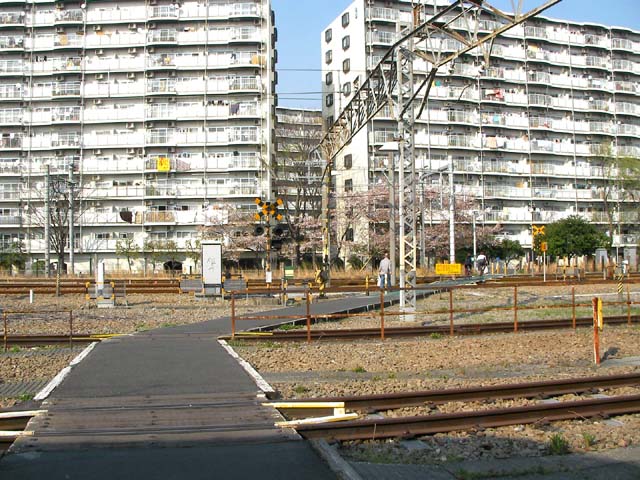 d0004301_221443.jpg