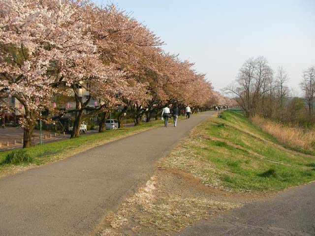 d0004301_22521669.jpg