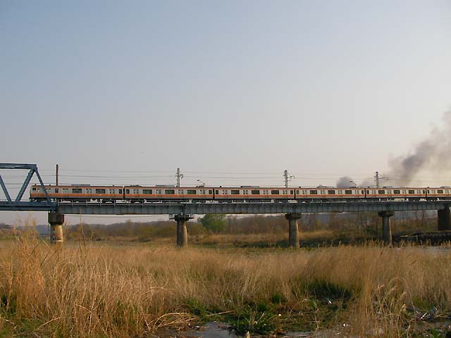 d0004301_2256894.jpg